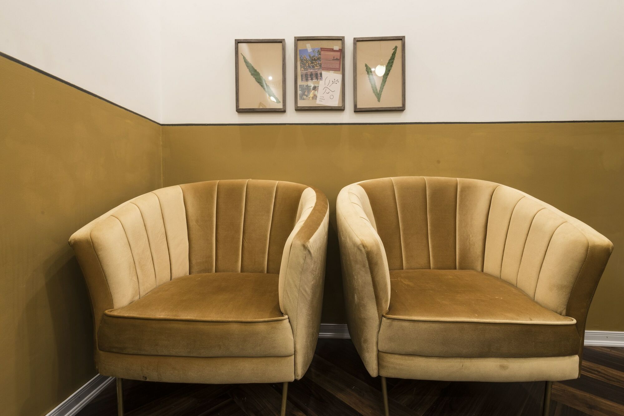 Chloe & Leo Boutique Homestay Hanoi Eksteriør bilde